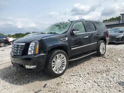 Salvage cars for sale at Wayland, MI auction: 2008 Cadillac Escalade Luxury