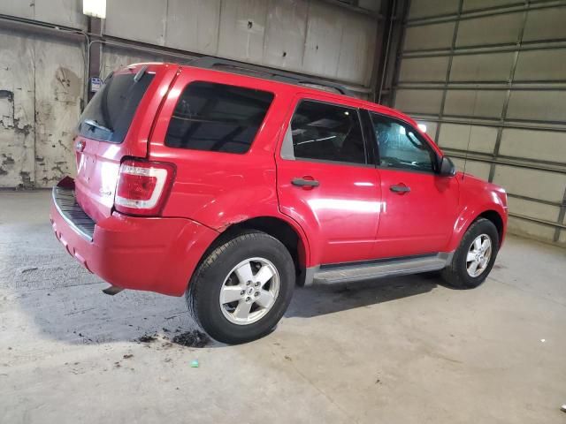 2009 Ford Escape XLT