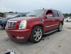 Salvage cars for sale at Lebanon, TN auction: 2013 Cadillac Escalade Luxury