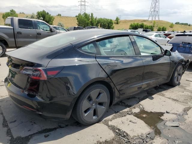 2021 Tesla Model 3