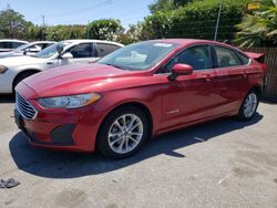 Salvage cars for sale at San Martin, CA auction: 2019 Ford Fusion SE