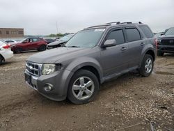 Ford Escape Vehiculos salvage en venta: 2011 Ford Escape Limited