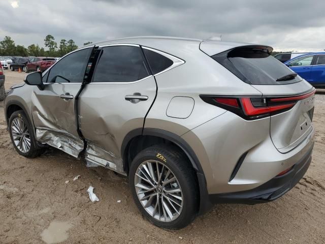 2022 Lexus NX 350