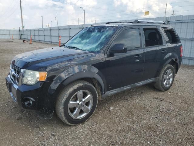 2010 Ford Escape Limited