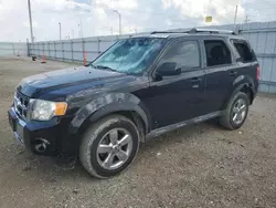 Ford Vehiculos salvage en venta: 2010 Ford Escape Limited