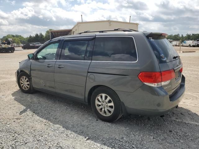 2008 Honda Odyssey EXL