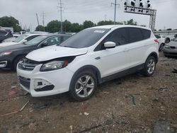 Salvage cars for sale at Columbus, OH auction: 2013 Ford Escape SE