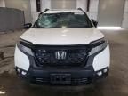 2019 Honda Passport Elite