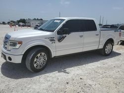 Salvage cars for sale at Temple, TX auction: 2013 Ford F150 Supercrew