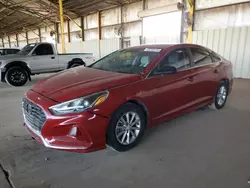 Salvage cars for sale at Phoenix, AZ auction: 2018 Hyundai Sonata SE