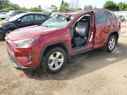 Toyota rav4 xle salvage cars for sale: 2020 Toyota Rav4 XLE