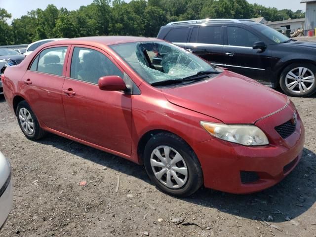 2009 Toyota Corolla Base