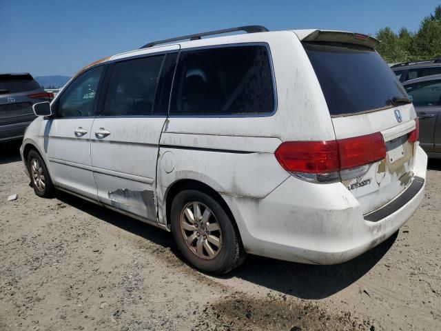 2008 Honda Odyssey EXL