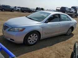 Salvage cars for sale at Brighton, CO auction: 2008 Toyota Camry Hybrid