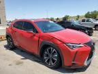 2019 Lexus UX 250H