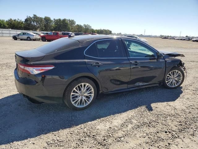 2019 Toyota Camry Hybrid