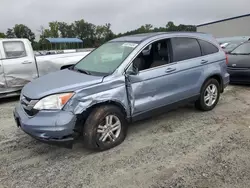 Vehiculos salvage en venta de Copart Spartanburg, SC: 2011 Honda CR-V EXL