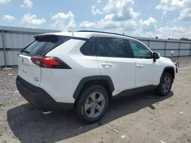 2024 Toyota Rav4 XLE