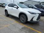 2024 Lexus NX 350H Base