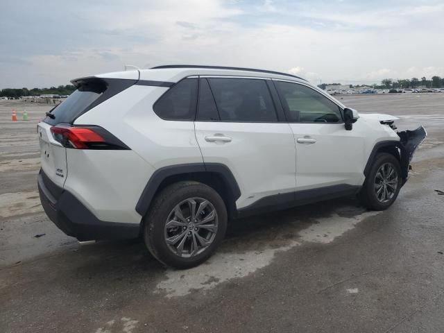 2023 Toyota Rav4 XLE Premium