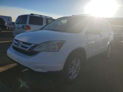 Salvage cars for sale at Brighton, CO auction: 2010 Honda CR-V EX