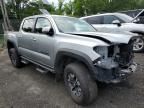 2023 Toyota Tacoma Double Cab