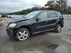 2008 Mercedes-Benz ML 350