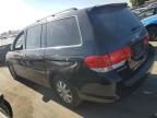 2008 Honda Odyssey EXL