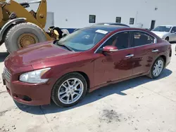 Nissan salvage cars for sale: 2009 Nissan Maxima S