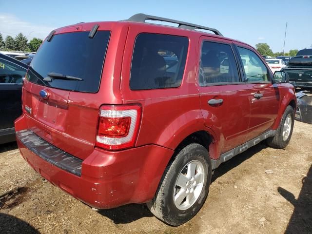 2012 Ford Escape XLT