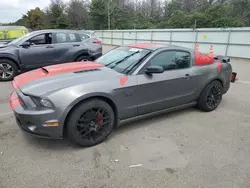 Salvage cars for sale at Brookhaven, NY auction: 2013 Ford Mustang
