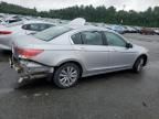 2011 Honda Accord EX