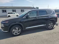 Rental Vehicles for sale at auction: 2023 Hyundai Santa FE SEL Premium