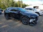 2023 Lexus NX 350H