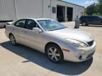 2006 Lexus ES 330