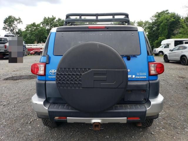 2007 Toyota FJ Cruiser