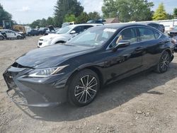 Lexus salvage cars for sale: 2023 Lexus ES 350 Base