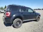 2010 Ford Escape Limited