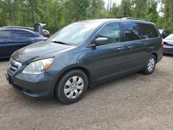 Salvage cars for sale at Cookstown, ON auction: 2006 Honda Odyssey EX