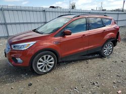 Salvage cars for sale at Appleton, WI auction: 2019 Ford Escape SEL