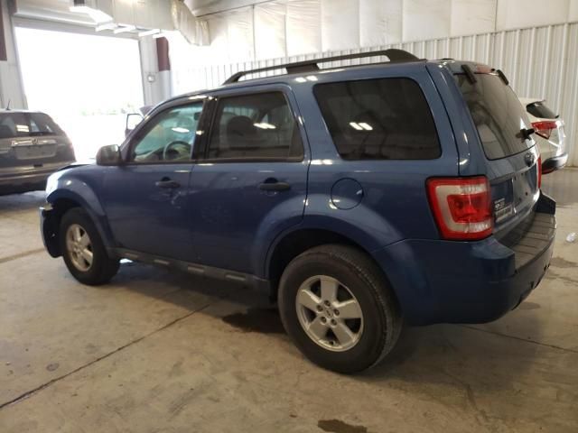 2009 Ford Escape XLT