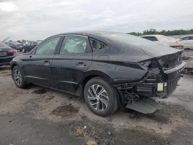 2021 Hyundai Sonata Hybrid