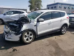 Salvage cars for sale at Albuquerque, NM auction: 2014 Ford Escape SE