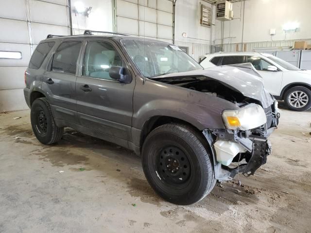 2006 Ford Escape XLT