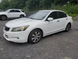 Honda Accord exl salvage cars for sale: 2008 Honda Accord EXL