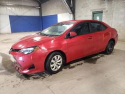 Salvage cars for sale from Copart Chalfont, PA: 2019 Toyota Corolla L