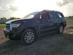 Toyota Sequoia Vehiculos salvage en venta: 2013 Toyota Sequoia Platinum