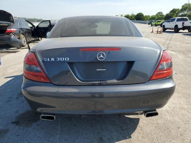 2010 Mercedes-Benz SLK 300