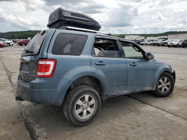 2010 Ford Escape Limited