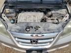 2005 Honda Odyssey EXL